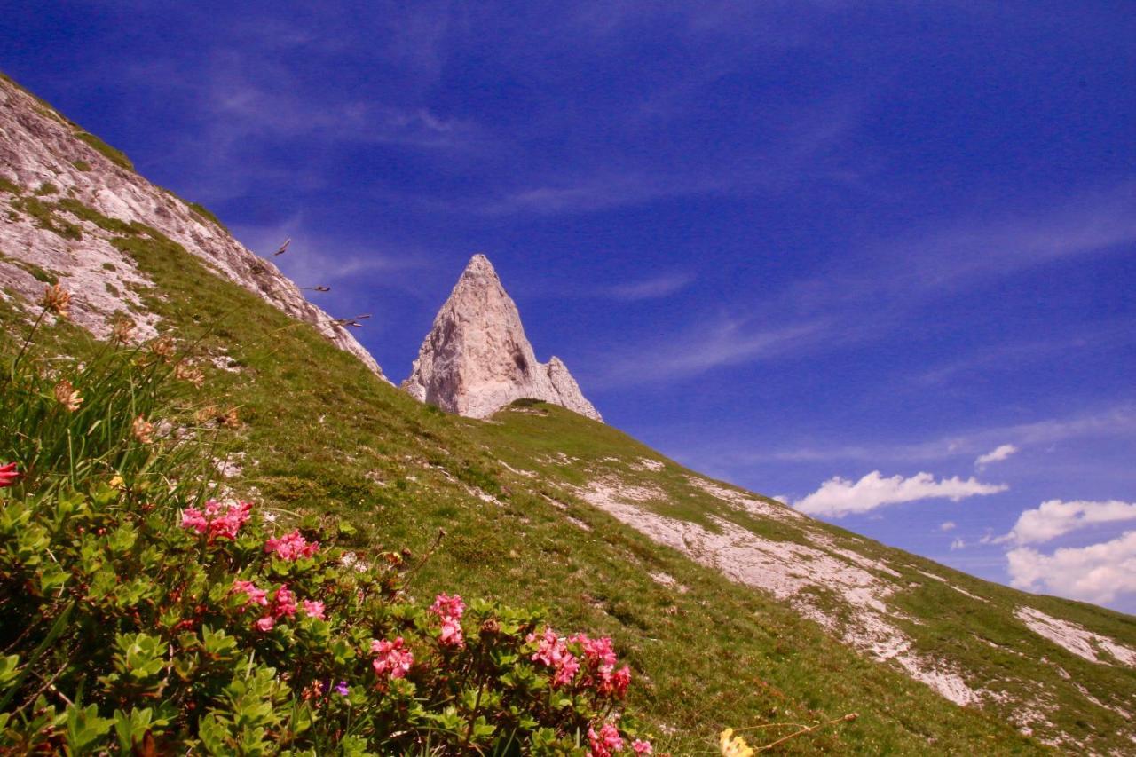 Schermerhuetten Tauplitzalm Esterno foto